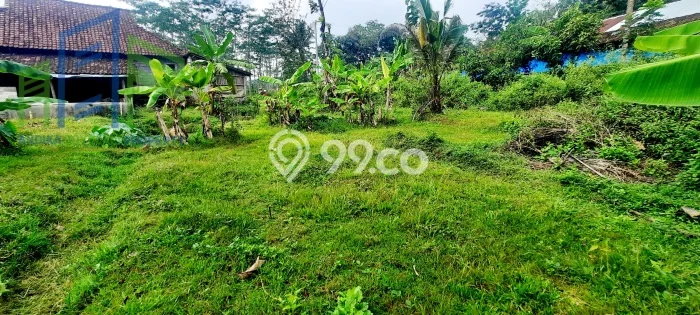 Kavling Tanah Dijual di Karanggede Boyolali Spesifikasi 1040m2 Kavling Tanah Dijual di Karanggede Boyolali Spesifikasi 1040m2
