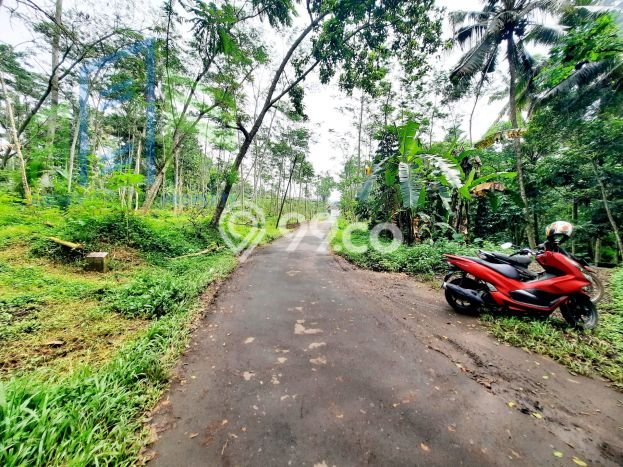Lahan Dijual Lokasi Ampel, Boyolali dengan Luas Tanah 1882m2 dan Status SHM Lahan Dijual Lokasi Ampel, Boyolali dengan Luas Tanah 1882m2 dan Status SHM