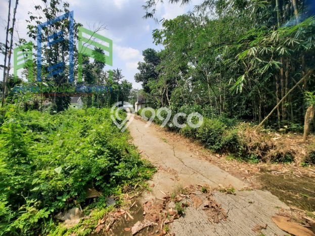 Tanah Dijual Lokasi Mojosongo, Boyolali Luas 1185m2 Legalitas Aman Tanah Dijual Lokasi Mojosongo, Boyolali Luas 1185m2 Legalitas Aman