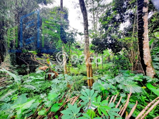 Lahan Dijual Lokasi Ampel, Boyolali dengan Luas Tanah 1882m2 dan Status SHM Lahan Dijual Lokasi Ampel, Boyolali dengan Luas Tanah 1882m2 dan Status SHM