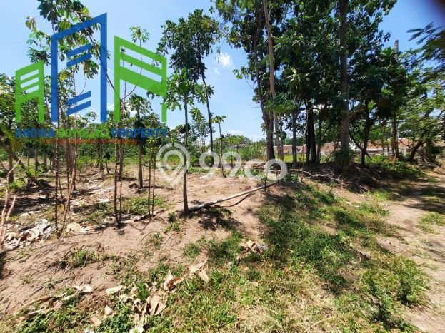 Tanah Dijual Lokasi Teras, Boyolali Luas 11000m2 Legalitas Aman Tanah Dijual Lokasi Teras, Boyolali Luas 11000m2 Legalitas Aman