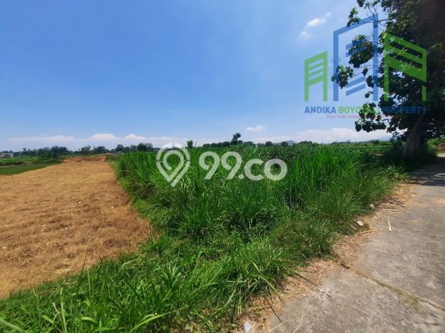 Tanah Kawasan Banyudono, Luas 1068m², Lokasi Strategis, Kawasan Nyaman Tanah Kawasan Banyudono, Luas 1068m², Lokasi Strategis, Kawasan Nyaman