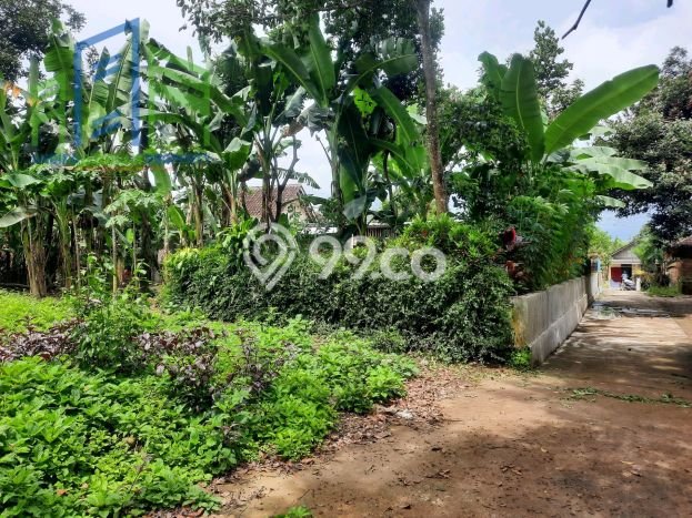 Tanah Dijual Lokasi Banyudono, Boyolali dengan Luas Tanah 260m2 dan Status SHM Tanah Dijual Lokasi Banyudono, Boyolali dengan Luas Tanah 260m2 dan Status SHM