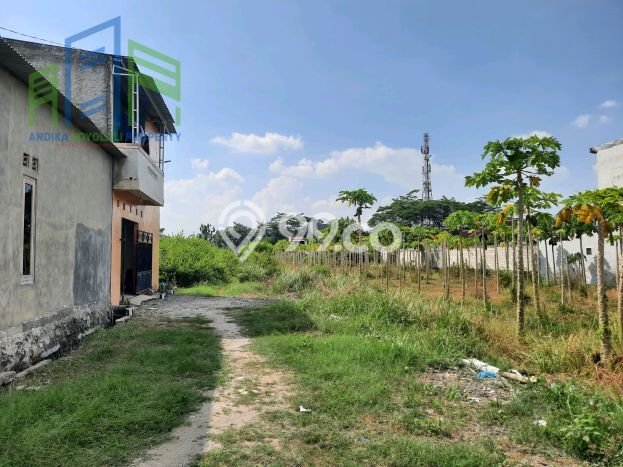 Untuk Dijual Tanah di Teras Boyolali Luas 140m2 SHM Untuk Dijual Tanah di Teras Boyolali Luas 140m2 SHM