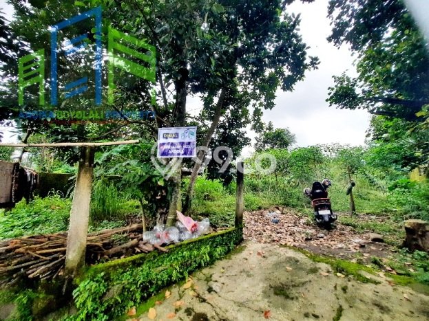 Tanah di Mojosongo, Boyolali Luas 425m2 Dijual Segera Tanah di Mojosongo, Boyolali Luas 425m2 Dijual Segera