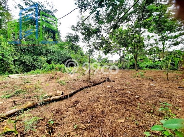 Tanah untuk Dijual di Banyudono Boyolali Luas 1964m2 Tanah untuk Dijual di Banyudono Boyolali Luas 1964m2