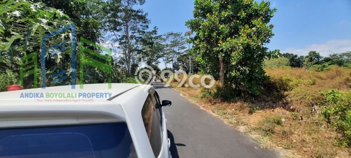 Lahan Investasi Lokasi Teras Boyolali SHM Lahan Investasi Lokasi Teras Boyolali SHM