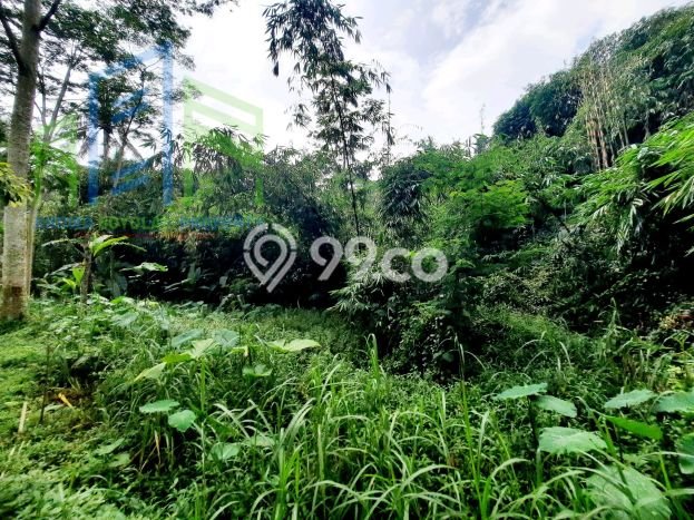 Lahan Dijual Lokasi Ampel, Boyolali dengan Luas Tanah 1882m2 dan Status SHM Lahan Dijual Lokasi Ampel, Boyolali dengan Luas Tanah 1882m2 dan Status SHM