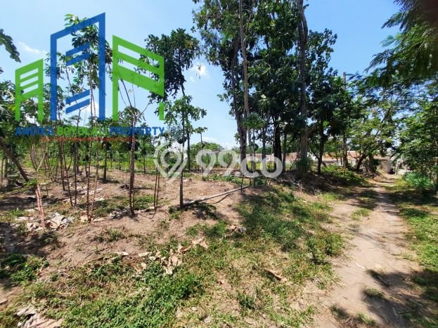 Tanah Dijual Lokasi Teras, Boyolali Luas 11000m2 Legalitas Aman Tanah Dijual Lokasi Teras, Boyolali Luas 11000m2 Legalitas Aman