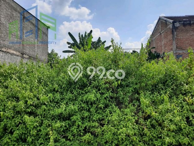 Untuk Dijual Tanah di Teras Boyolali Luas 140m2 SHM Untuk Dijual Tanah di Teras Boyolali Luas 140m2 SHM