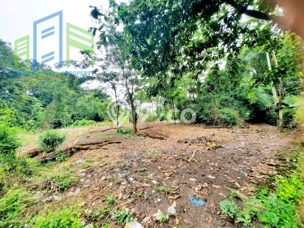 Tanah untuk Dijual di Banyudono Boyolali Luas 1964m2 Tanah untuk Dijual di Banyudono Boyolali Luas 1964m2