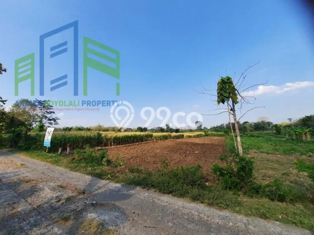 Kavling Tanah Dijual di Nogosari, Boyolali, Luas 953m2 Area Strategis Kavling Tanah Dijual di Nogosari, Boyolali, Luas 953m2 Area Strategis