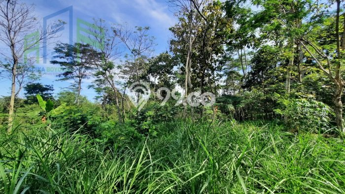Dijual Tanah Lokasi Boyolali Kota, Boyolali Seluas 1015m2 Dijual Tanah Lokasi Boyolali Kota, Boyolali Seluas 1015m2