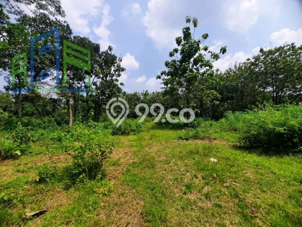 Tanah Dijual Lokasi Mojosongo, Boyolali Luas 1185m2 Legalitas Aman Tanah Dijual Lokasi Mojosongo, Boyolali Luas 1185m2 Legalitas Aman