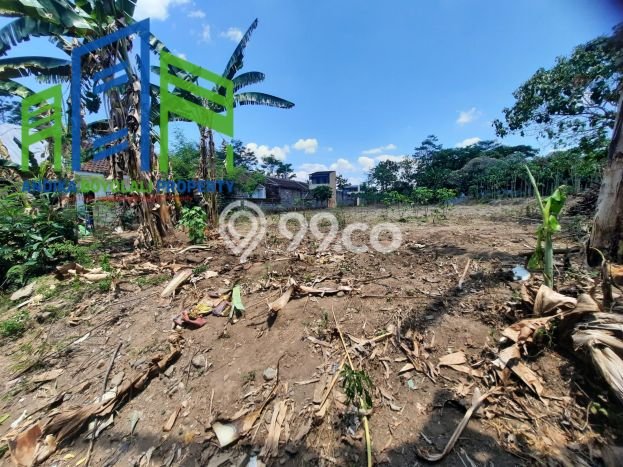 Tanah Dijual Lokasi Teras, Boyolali Luas 11000m2 Legalitas Aman Tanah Dijual Lokasi Teras, Boyolali Luas 11000m2 Legalitas Aman
