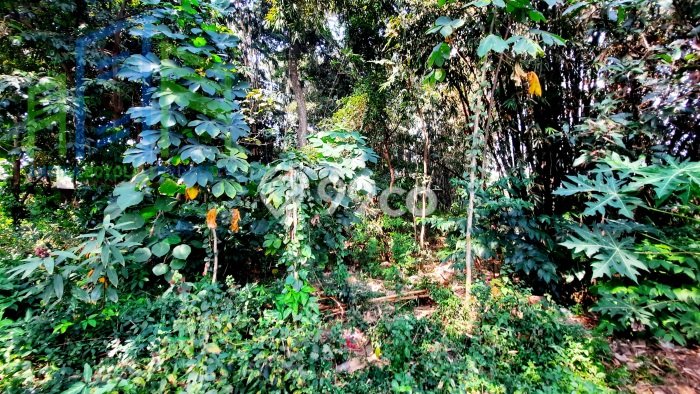 Untuk Dijual Tanah 1000m2 di Boyolali Kota, Boyolali Untuk Dijual Tanah 1000m2 di Boyolali Kota, Boyolali