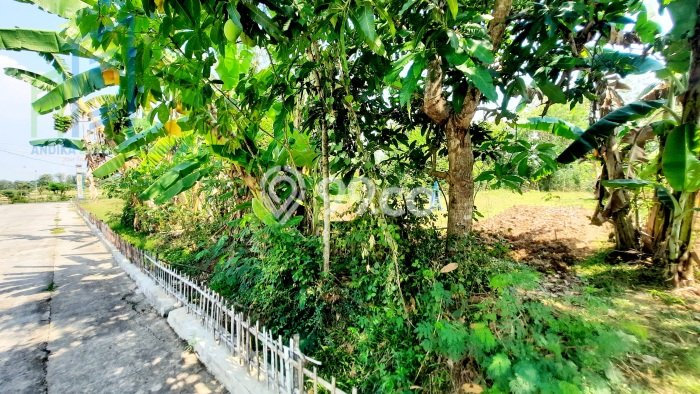 Tanah Dijual di Boyolali Seluas 898m2 Strategis Tanah Dijual di Boyolali Seluas 898m2 Strategis