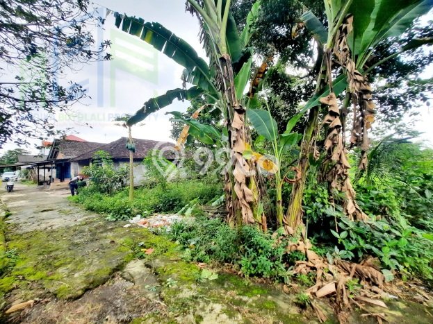 Kavling Tanah di Mojosongo Dijual Luas 294m2 Legalitas SHM Kavling Tanah di Mojosongo Dijual Luas 294m2 Legalitas SHM