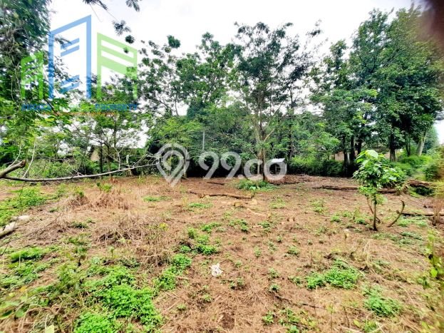 Tanah untuk Dijual di Banyudono Boyolali Luas 1964m2 Tanah untuk Dijual di Banyudono Boyolali Luas 1964m2