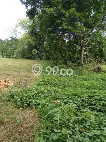 Tanah untuk Dijual di Bogor Barat Bogor Luas 593m2 Tanah untuk Dijual di Bogor Barat Bogor Luas 593m2