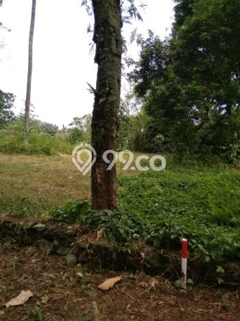 Tanah untuk Dijual di Bogor Barat Bogor Luas 593m2 Tanah untuk Dijual di Bogor Barat Bogor Luas 593m2
