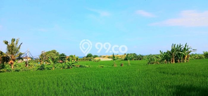 Lahan Investasi Lokasi Sukawati Gianyar SHM Lahan Investasi Lokasi Sukawati Gianyar SHM