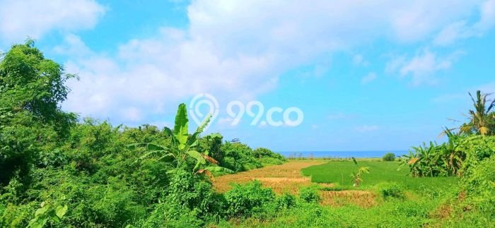 Tanah Investasi Dijual di Gianyar Punya Luas 25300m2 Tanah Investasi Dijual di Gianyar Punya Luas 25300m2