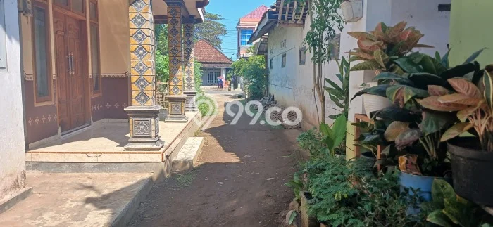 Jual Rumah Siap Huni di Bangsalsari Jember Harga Rp 250 Juta LT 147m2 Jual Rumah Siap Huni di Bangsalsari Jember Harga Rp 250 Juta LT 147m2