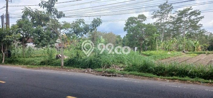 Kavling Tanah Disewakan di Mengwi Badung Luas 3280m2 Strategis Kavling Tanah Disewakan di Mengwi Badung Luas 3280m2 Strategis
