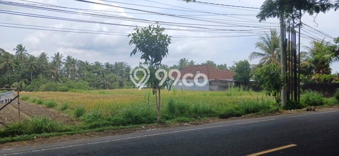 Kavling Tanah Disewakan di Mengwi Badung Luas 3280m2 Strategis Kavling Tanah Disewakan di Mengwi Badung Luas 3280m2 Strategis