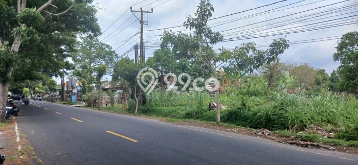 Kavling Tanah Disewakan di Mengwi Badung Luas 3280m2 Strategis Kavling Tanah Disewakan di Mengwi Badung Luas 3280m2 Strategis