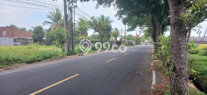 Kavling Tanah Disewakan di Mengwi Badung Luas 3280m2 Strategis Kavling Tanah Disewakan di Mengwi Badung Luas 3280m2 Strategis