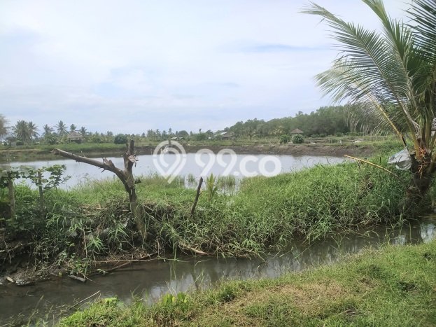 Lahan untuk Dijual Lokasi Melaya, Jembrana Luas 18000m2 - Lahan untuk Dijual Lokasi Melaya, Jembrana Luas 18000m2 -