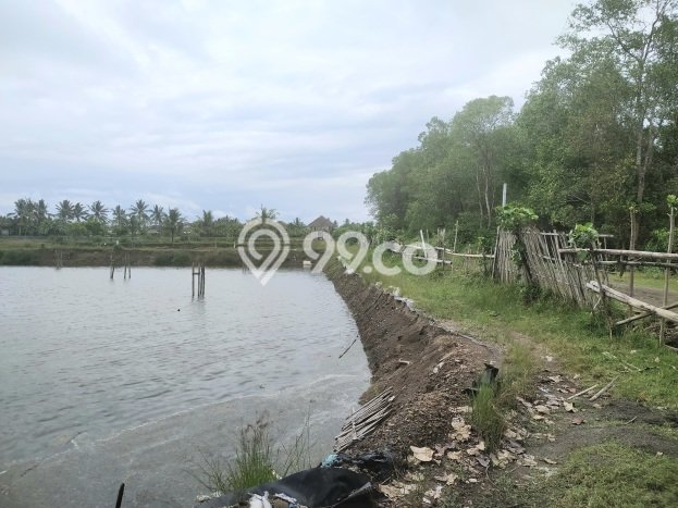 Lahan untuk Dijual Lokasi Melaya, Jembrana Luas 18000m2 - Lahan untuk Dijual Lokasi Melaya, Jembrana Luas 18000m2 -