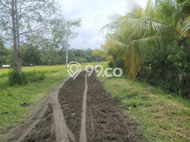 Lahan untuk Dijual Lokasi Melaya, Jembrana Luas 18000m2 - Lahan untuk Dijual Lokasi Melaya, Jembrana Luas 18000m2 -