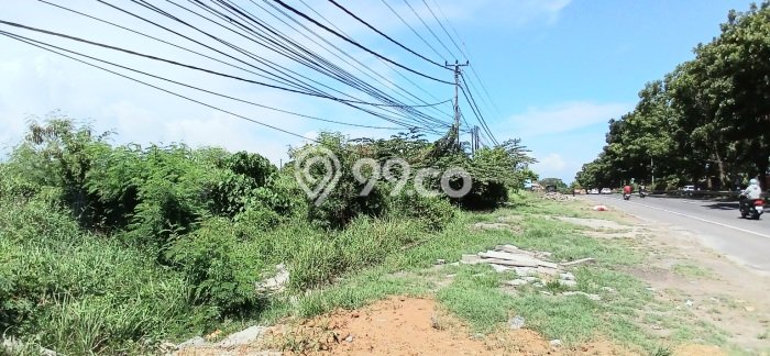 Kavling Tanah untuk Disewa di Pering Lahan Luas 10000m2 Kavling Tanah untuk Disewa di Pering Lahan Luas 10000m2