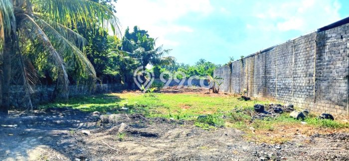 Tanah Dijual Area Strategis di Saba Gianyar 1000m2 Tanah Dijual Area Strategis di Saba Gianyar 1000m2