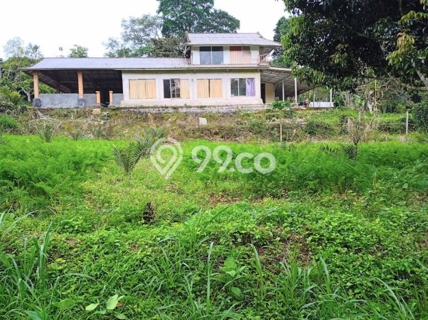 Untuk Dijual Tanah di Baturiti Tabanan Luas 23475m2 SHM Untuk Dijual Tanah di Baturiti Tabanan Luas 23475m2 SHM