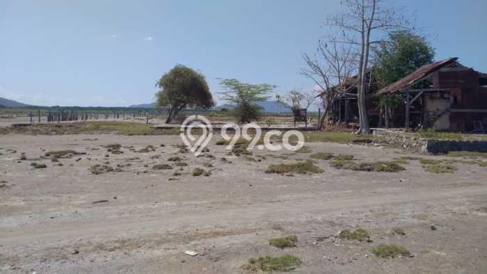 Kavling Tanah Dijual di Moyohilir Sumbawa Spesifikasi 120000m2 Kavling Tanah Dijual di Moyohilir Sumbawa Spesifikasi 120000m2