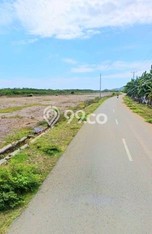 Tanah untuk Dijual di Sumbawa Sumbawa Luas 50500m2 Tanah untuk Dijual di Sumbawa Sumbawa Luas 50500m2