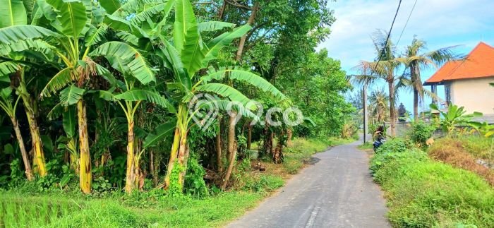 Tanah Kavling Dijual di Gianyar dengan Spesifikasi 4250m2 Tanah Kavling Dijual di Gianyar dengan Spesifikasi 4250m2