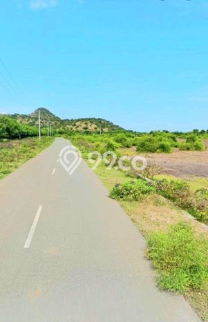 Tanah untuk Dijual di Sumbawa Sumbawa Luas 50500m2 Tanah untuk Dijual di Sumbawa Sumbawa Luas 50500m2