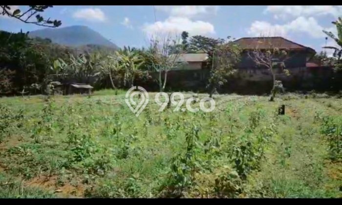 Untuk Dijual Tanah di Baturiti Tabanan Luas 23475m2 SHM Untuk Dijual Tanah di Baturiti Tabanan Luas 23475m2 SHM
