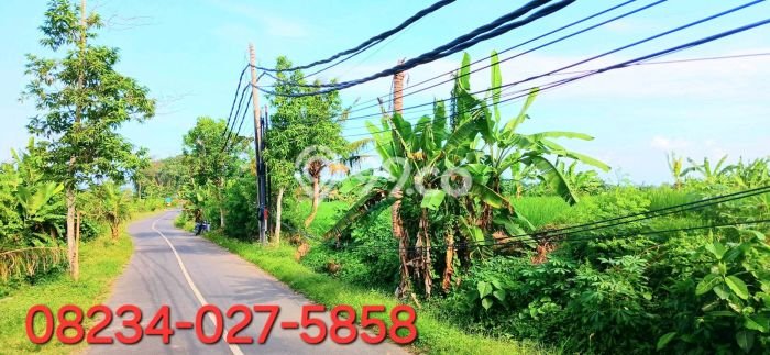 Lahan Investasi Lokasi Sukawati Gianyar SHM Lahan Investasi Lokasi Sukawati Gianyar SHM