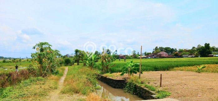 Dijual Tanah Lokasi Kelating, Tabanan Seluas 1975m2 Dijual Tanah Lokasi Kelating, Tabanan Seluas 1975m2