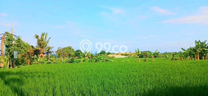 Lahan Investasi Lokasi Sukawati Gianyar SHM Lahan Investasi Lokasi Sukawati Gianyar SHM