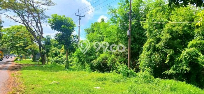 Tanah Investasi Dijual di Gianyar Punya Luas 25300m2 Tanah Investasi Dijual di Gianyar Punya Luas 25300m2