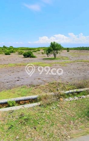 Tanah untuk Dijual di Sumbawa Sumbawa Luas 50500m2 Tanah untuk Dijual di Sumbawa Sumbawa Luas 50500m2