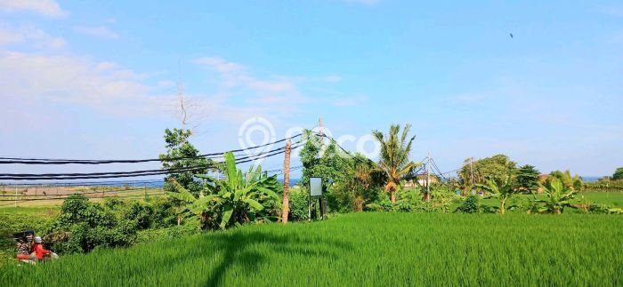 Lahan Investasi Lokasi Sukawati Gianyar SHM Lahan Investasi Lokasi Sukawati Gianyar SHM