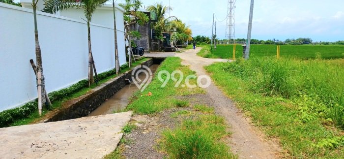 Dijual Tanah Lokasi Kelating, Tabanan Seluas 1975m2 Dijual Tanah Lokasi Kelating, Tabanan Seluas 1975m2
